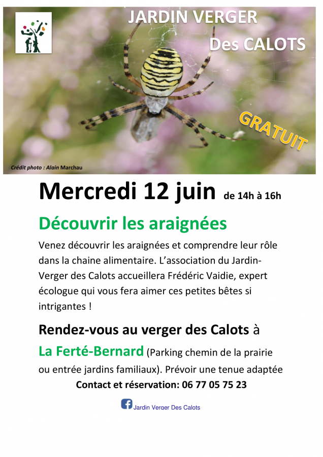 Affiche arachnide