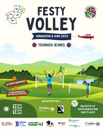 Festy volley